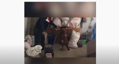 Malatya Jandarmadan esrar operasyonu