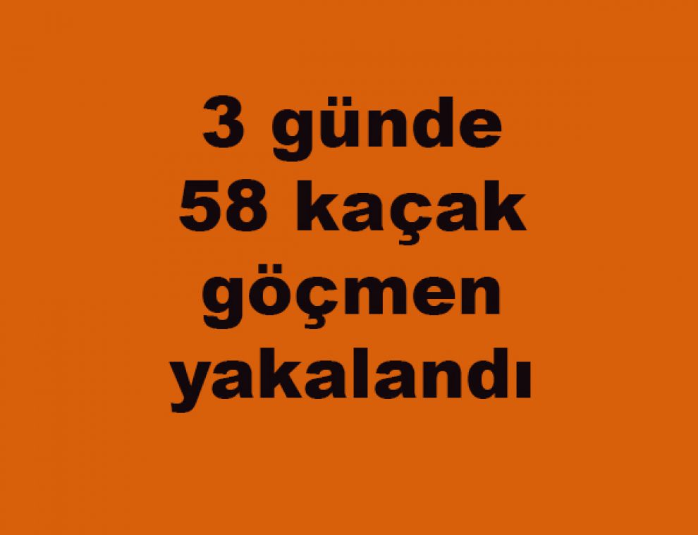 3 günde 58 kaçak göçmen yakalandı