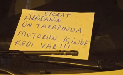 Dikkat…motorun içinde kedi var!