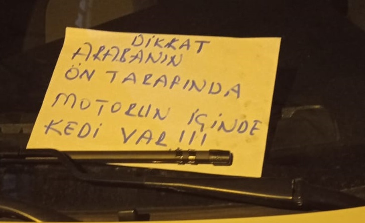 Araç motoruna giren inatçı yavru kedi duyarlı öğrencilerin sayesinde Malatya Büyükşehir Belediyesi itfaiye ekiplerince kurtarıldı. 