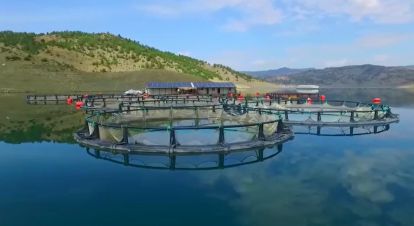 Bu projelere yüzde 55 ile yüzde 65 arasında hibe desteği sağlanacak