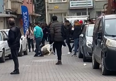 Malatya’da kavga ettiği kişinin üzerine pitbull cinsi köpeği saldırtan baba ve oğlu gözaltına alındı ve soruşturmanın sonucunda Adliyeye sevk edilen şüphelilerden oğul tutuklandı.