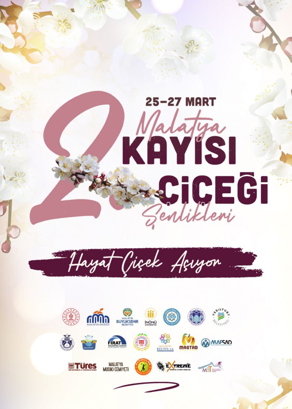 Kayısı Çiçeği Şenliği 25 Mart'ta