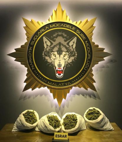 Kamyonun zulasındaki esrarı dedektör köpek buldu