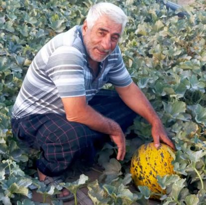 Traktör devrildi, 1 ölü