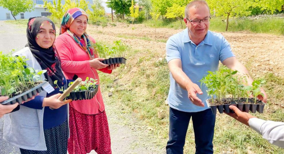 Akçadağ Belediyesinden çiftçilere 100 bin sebze fidesi