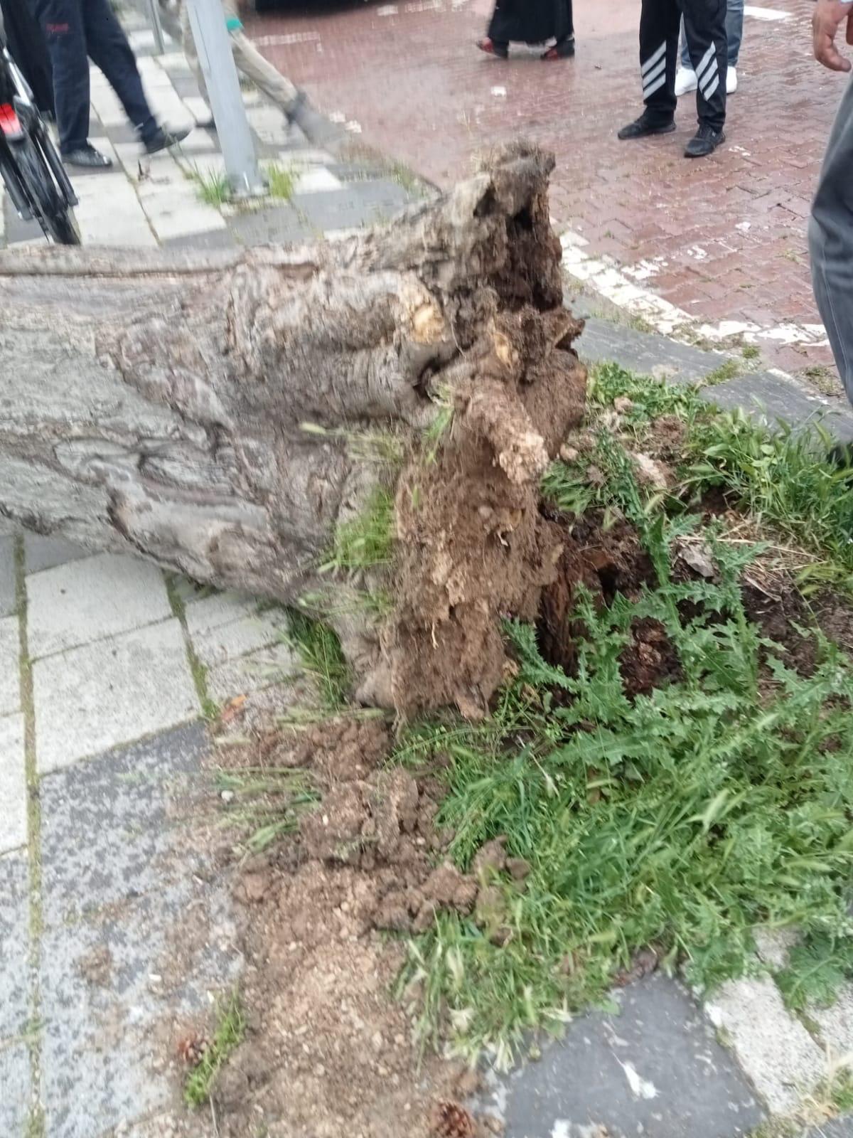 Malatya'da Orduzu Pınarbaşı Tabiat Parkında bir ağacın şiddetli rüzgar nedeniyle kökünden sökülerek,  o sırada yoldan  geçmekte olan ve üzerinde 2 kişi  bulunan motosikletin üzerine devrildi. 