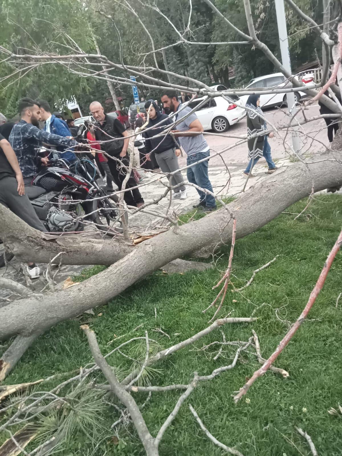 Malatya'da Orduzu Pınarbaşı Tabiat Parkında bir ağacın şiddetli rüzgar nedeniyle kökünden sökülerek,  o sırada yoldan  geçmekte olan ve üzerinde 2 kişi  bulunan motosikletin üzerine devrildi. 