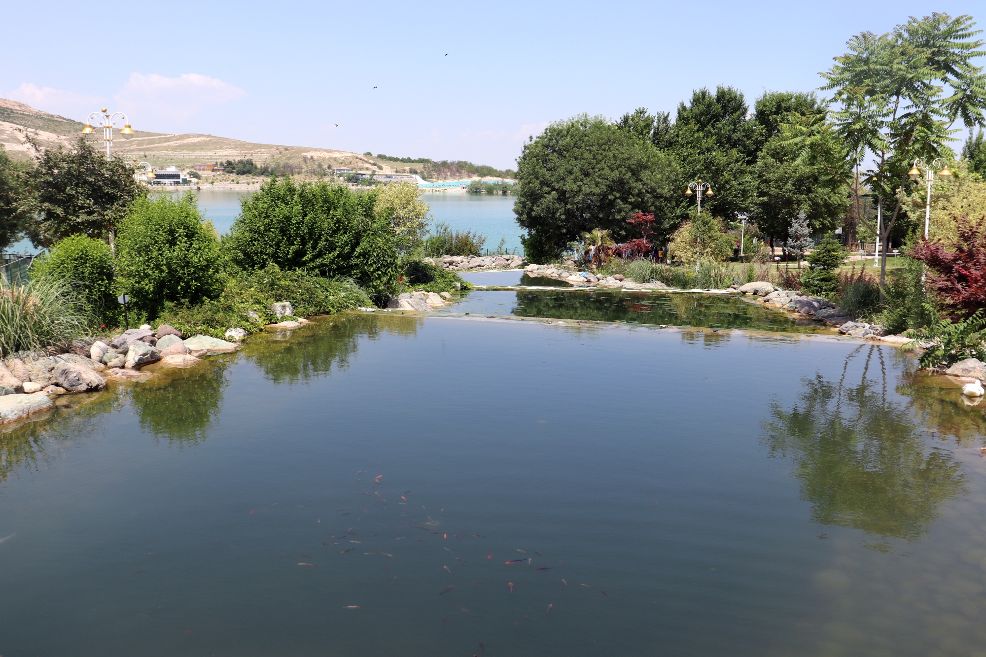 Doğu Anadolu’nun tek Hayvanat bahçesi olan Malatya Büyükşehir Belediyesi’ne ait Malatya Hayvanat Bahçesi’nde 78 türden bin 300 adet hayvan barındırılıyor. Sağlıkları için her türlü özen gösterilen hayvanlar sevdikleri yiyeceklerle besleniyorlar. Maymunların fıstığa olan ilgisi ise ortaya güzel görüntüler çıkartıyor. Görevlilerin verdiği fıstıkları soyan maymunlar, soyulmuş fıstığın ağızlarına verilmesinden ise mutlu oluyorlar.