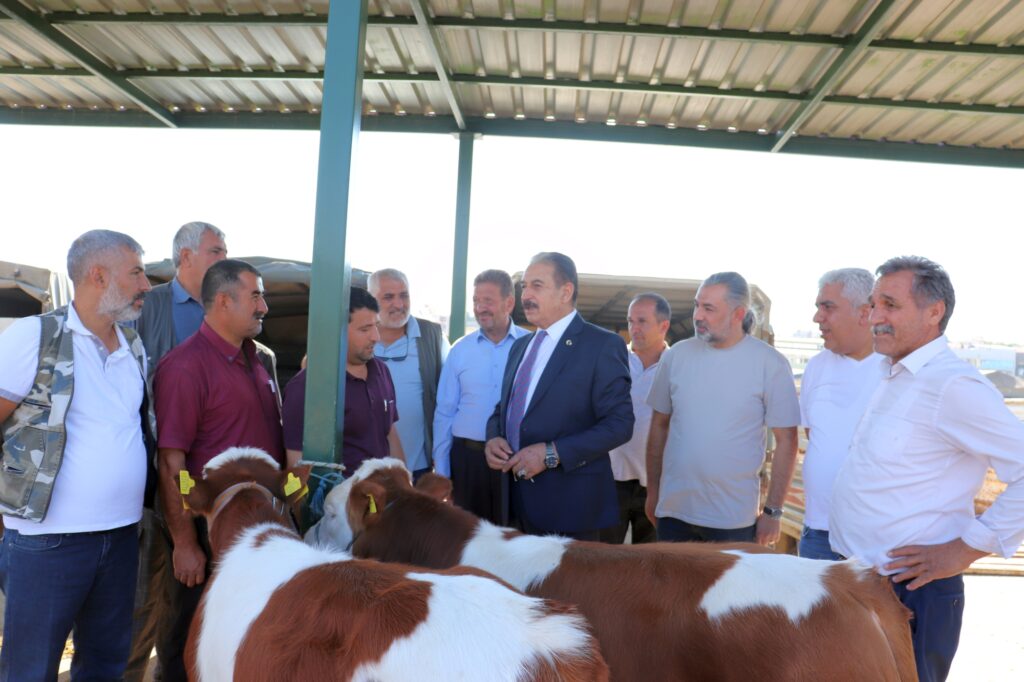 Malatya Esnaf ve Sanatkarlar Odaları Birliği (MESOB) Başkanı Şevket Keskin, Kurban Bayramı öncesi Malatya Canlı Hayvan Pazarında besici esnaflar ile üreticileri ziyaret ederek, burada vatandaşlara, “Kurbanlıklarınızı marketlerden değil, bu ülkenin gerçek üreticisi olan köylüden ve hayvan yetiştiricisinden alın” çağrısında bulundu.