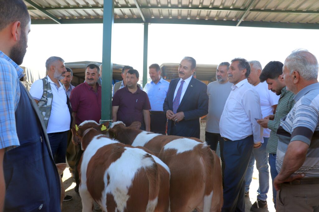 Malatya Esnaf ve Sanatkarlar Odaları Birliği (MESOB) Başkanı Şevket Keskin, Kurban Bayramı öncesi Malatya Canlı Hayvan Pazarında besici esnaflar ile üreticileri ziyaret ederek, burada vatandaşlara, “Kurbanlıklarınızı marketlerden değil, bu ülkenin gerçek üreticisi olan köylüden ve hayvan yetiştiricisinden alın” çağrısında bulundu.