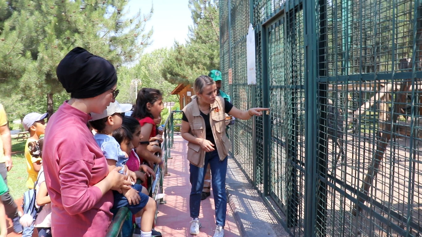 Doğu Anadolu’nun tek Hayvanat bahçesi olan Malatya Büyükşehir Belediyesi’ne ait Malatya Hayvanat Bahçesi’nde 78 türden bin 300 adet hayvan barındırılıyor. Sağlıkları için her türlü özen gösterilen hayvanlar sevdikleri yiyeceklerle besleniyorlar. Maymunların fıstığa olan ilgisi ise ortaya güzel görüntüler çıkartıyor. Görevlilerin verdiği fıstıkları soyan maymunlar, soyulmuş fıstığın ağızlarına verilmesinden ise mutlu oluyorlar.