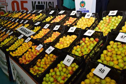 Binali Yıldırım'dan Öznur Çalık esprisi