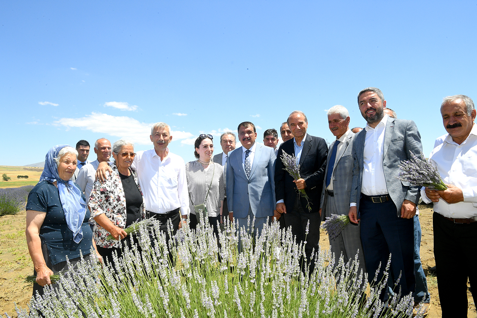 Malatya Büyükşehir Belediye Başkanı Selahattin Gürkan, Tarım ve Orman İl Müdürlüğü kontrolünde Tıbbi ve Aromatik Bitki Yetiştiriciliğinin Geliştirilmesi amacı ile 2018 yılında Arguvan ilçesi İçmece mahallesinde 3 dekarlık alanda Isparta ilinden getirilen 6.000 adet Lavandula Angustifolia çeşidi ile ekimine başlanan Lavanta bitkisinin 2022 yılı hasadına katıldı.