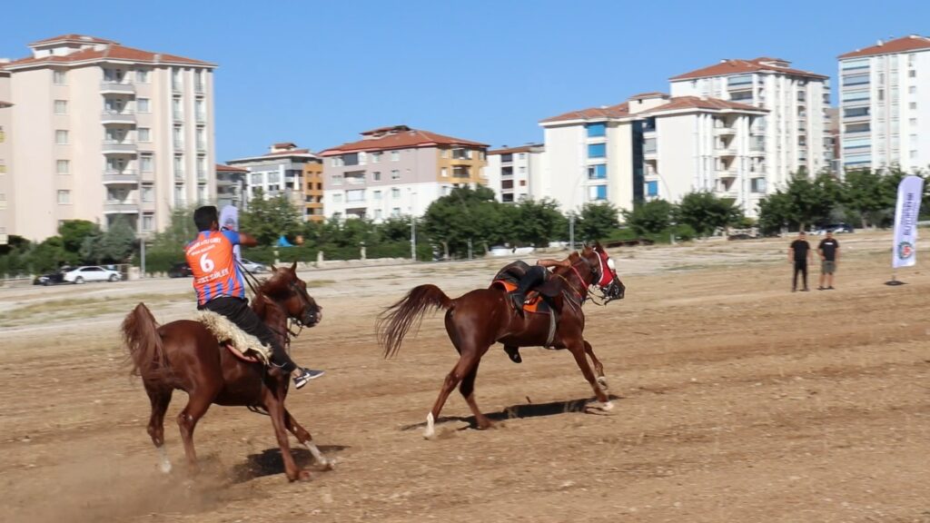 Kültür ve Turizm Bakanlığı, Malatya Valiliği ve Malatya Büyükşehir Belediyesi tarafından organize edilen ve bu yıl 25. Malatya Uluslararası Kültür Sanat Etkinlikleri ve Kayısı Festivali kapsamında düzenlenen Atlı cirit gösterisi ilgiyle izlendi.