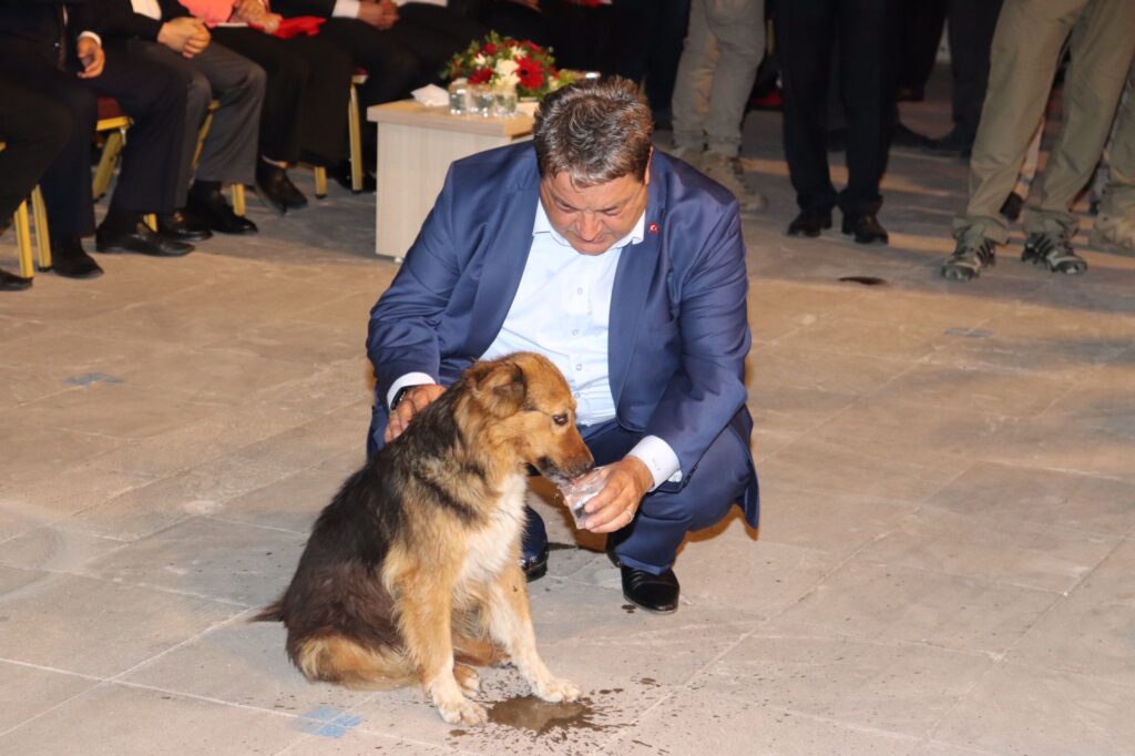 Malatya'da maskot haline gelen, kahramanı olduğu olaylarla kendisinden sıkça bahsettiren, daha çok Valilik çevresinde ve İnönü Caddesi'ndeki etkinliklerde kendini gösteren Malatyalıların gönlünde taht kurmuş, namı değer protokol köpeği (Alex) MHP Malatya Milletvekili Mehmet Fendoğlu’nun ellerinden su içti.