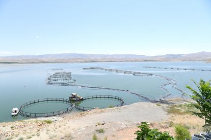 Balıkçılık OSB kuruluyor