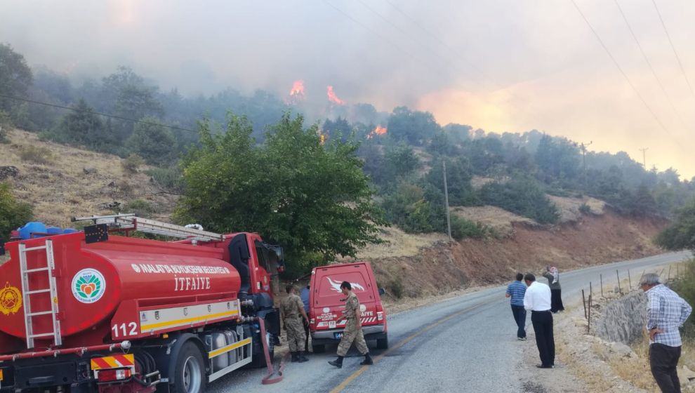 Doğanyol’da ormanlık alan yandı