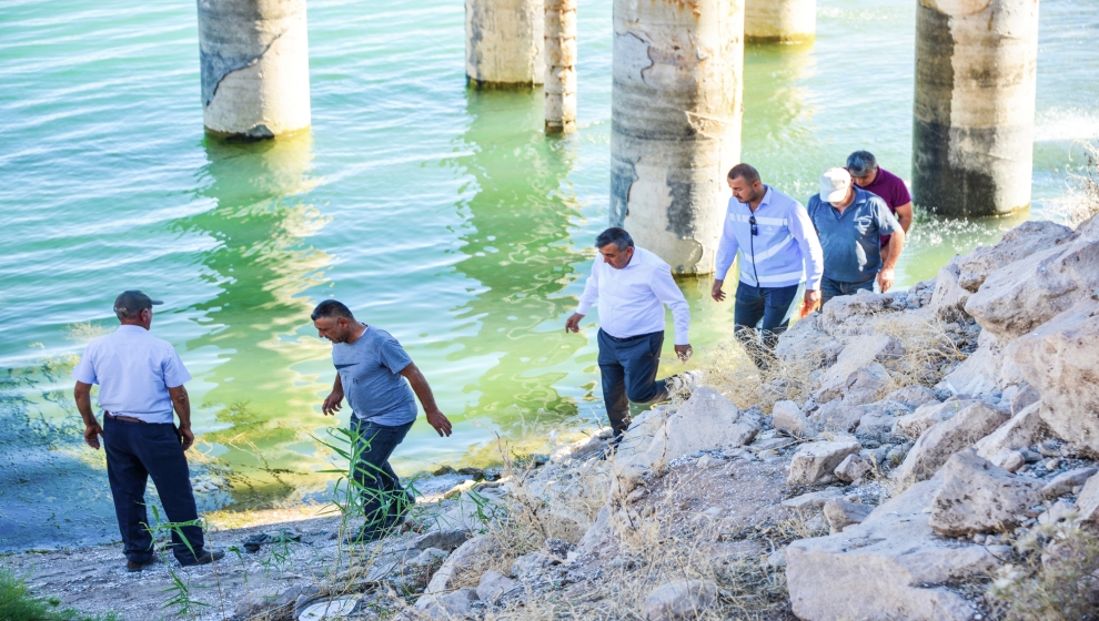 MASKİ tarafından yürütülen çalışmalar kapsamında Yazıhan İlçesi Ambarcık Mahallesi Şevki Çiftliği bölgesinde kuruma tehlikesi ile karşı karşıya kalan 35 bin adet kayısı ağacının sulama problemi çözülüyor.