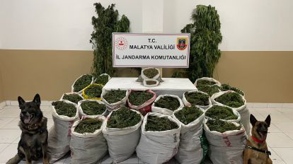 Jandarma 232 kilo esrar ele geçirdi