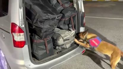 10 milyonluk uyuşturucuyu narkotik köpeği böyle buldu 