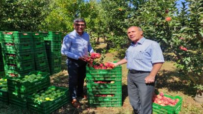 Büyükşehirden Doğanşehirli elma üreticisine destek