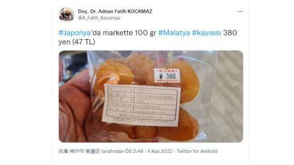 Japonya'da “güneşin altın yumurtası” 470 TL 