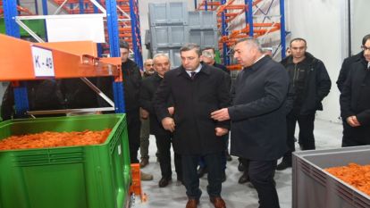 Vali Şahin'den “kayısı” incelemesi