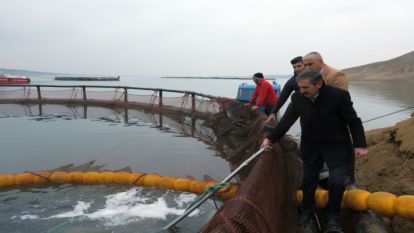 Türk Somonu üretiminde Malatya farkı 