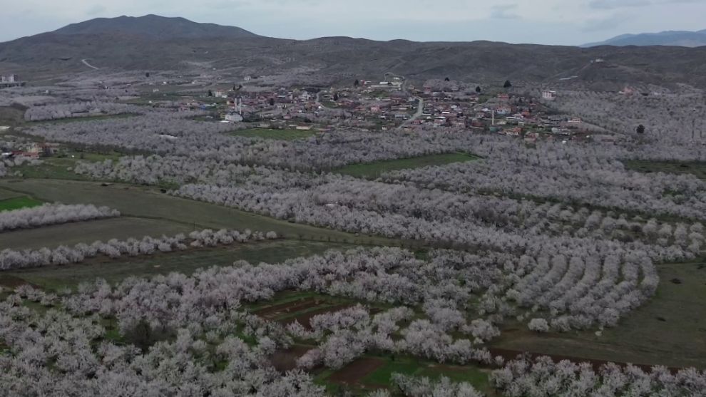 Deprem bölgesi Malatya beyaz gelinliğe bürünüyor!..