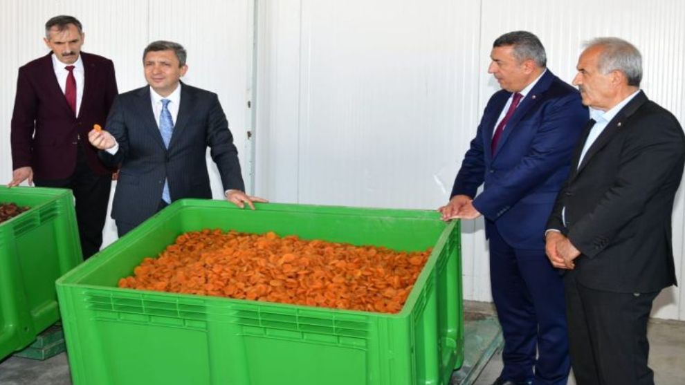 Tahmini kuru kayısı rekoltesi 77 bin 170 ton