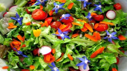  Bitkisel Diyet Kalp Sağlığına İyi Geliyor