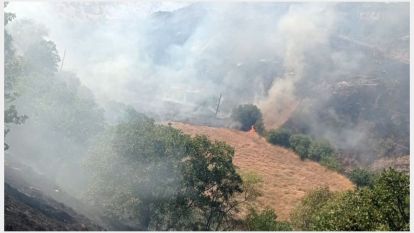 Pütürge'de Orman Yangını  Çıktı 