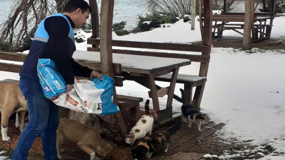 Battalgazi Belediyesi Can Dostlarını Unutmadı