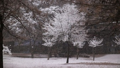 Malatya Beyaza Büründü