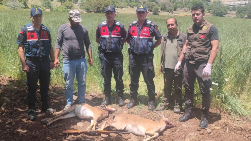 Malatya'da Yaban Keçisi Avlayan Kişiye 614 bin TL Ceza