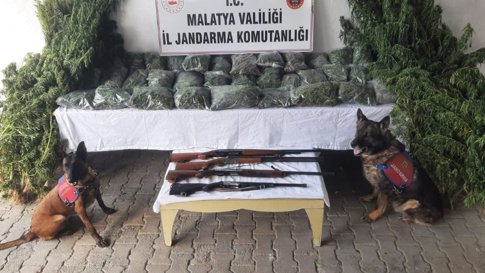 36 kilo Esrar Operasyonuna 2 Tutuklama