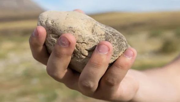 Malatya'da Tarla Kavgasında Müezzin Taşla Öldürüldü 