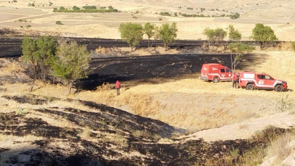 Malatya'da 4 İlçede Yangın Çıktı