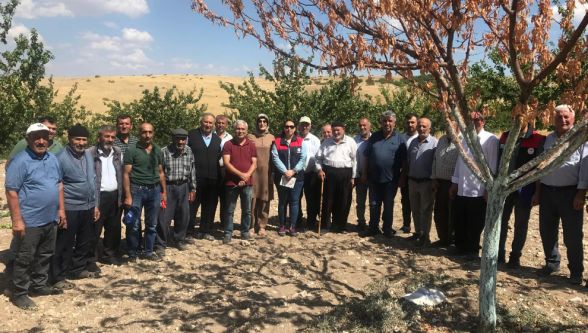 Bu Öğrenciler Derse Kayısı Bahçesinde Girdiler 