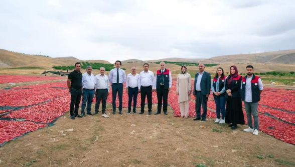 Kurutmalık Domates Malatya Ekonomisine Katkı Sağlıyor 