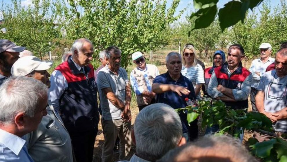 Kayısı Üreticilerine Bahçede Eğitim