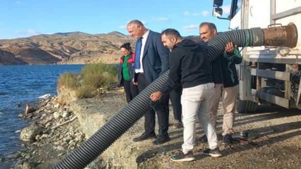 Karakaya Baraj Gölüne 750 bin adet Şabut Balığı  yavrusu bırakıldı