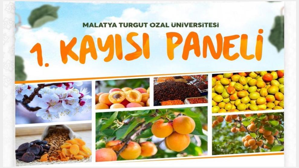 Malatya Turgut Özal Üniversitesi'nden Kayısıya Bilimsel Destek