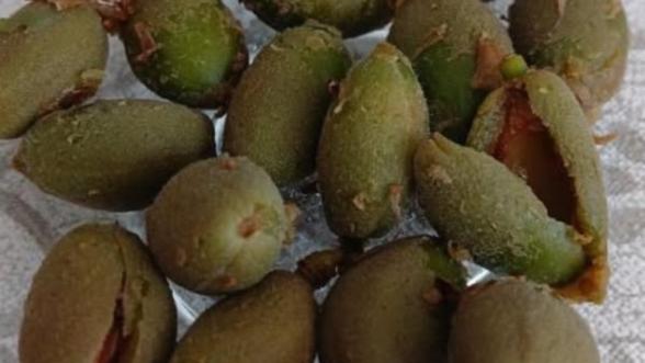 Babacan: "Üreticimizin yanında olacağız”