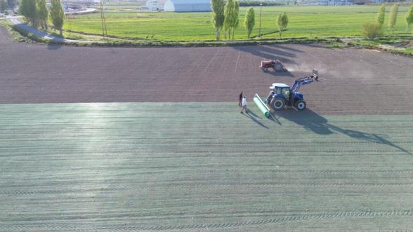 Battalgazi Belediyesi'nden Yeşil Hamle: Rulo Çim Üretimi 150 Bin Metrekareye Çıktı