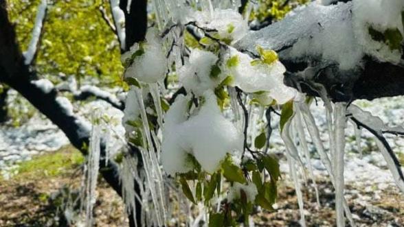Emek Dondu, Malatya Yasta!.. Saadet Partisinden Destek Çağrı 