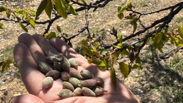 Kar bastı, Malatya Yandı!.. Bakan Konuştu “Yanınızdayız”