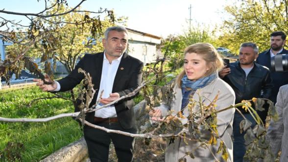 Kar Bastı, Umutlar Yandı!.. "Konu Cumhurbaşkanı Erdoğan'a Aktarıldı"