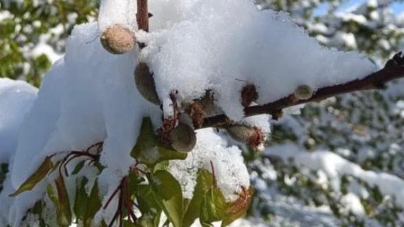 Vali Yavuz'dan Don Felaketi Açıklaması